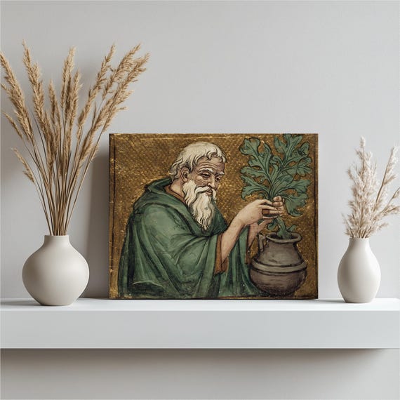 Medieval Botanical Alchemy Canvas Wall Art Illuminated Manuscript Style Vintage Gold Monk With Healing Herb Vase Alchemical Artwork Decor