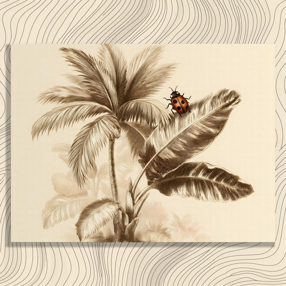 Vintage Botanical Palm Canvas Wall Art Tropical Foliage Banana Leaf Ladybug Print Rainforest Sepia Engraving Decor