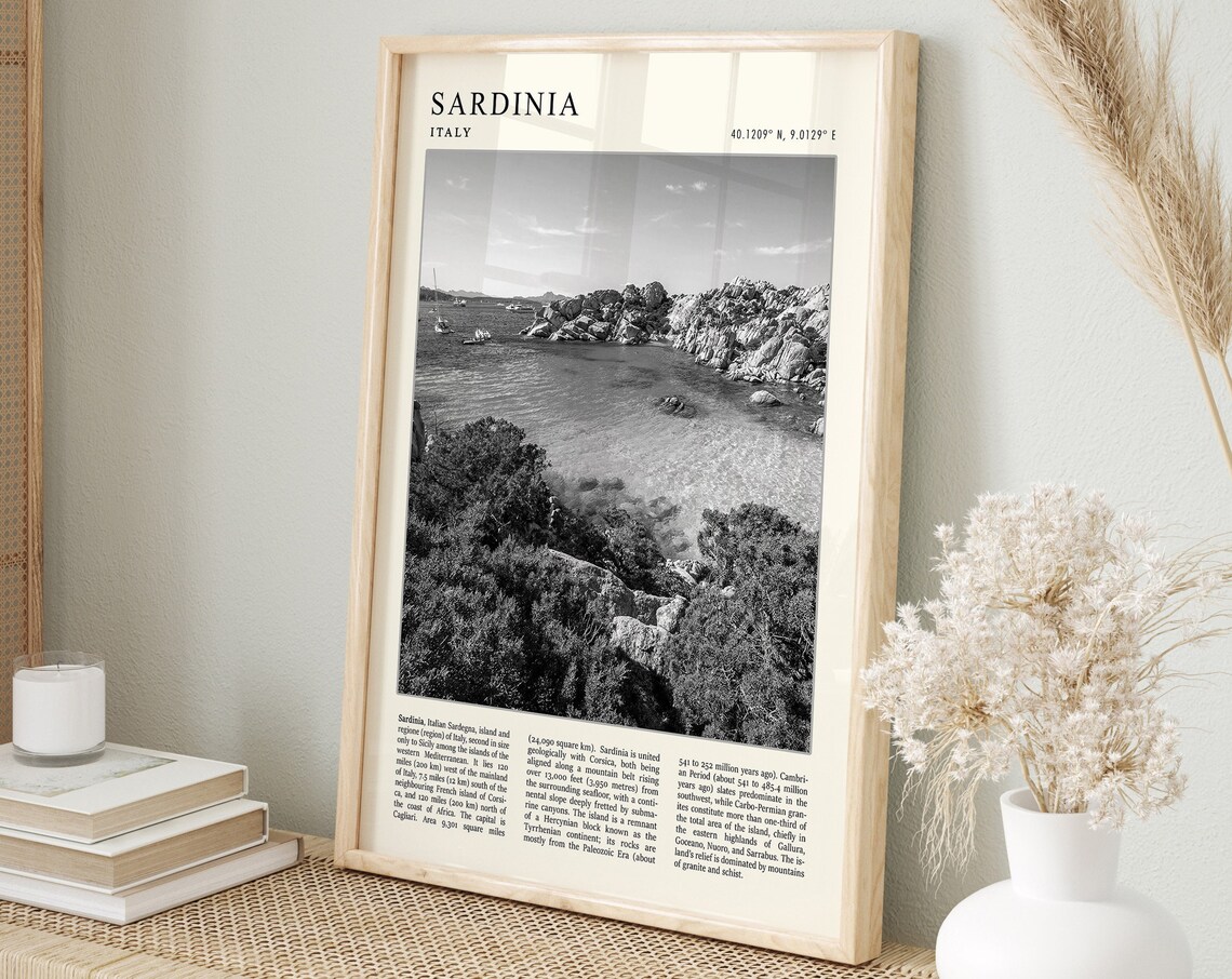 Sardinia Italy Rocky Seaside Cove Black and White Photo Poster