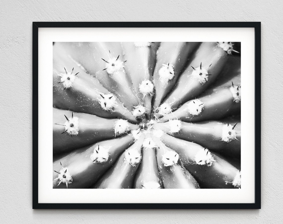 Cactus Wall Decor, Desert Wall Print