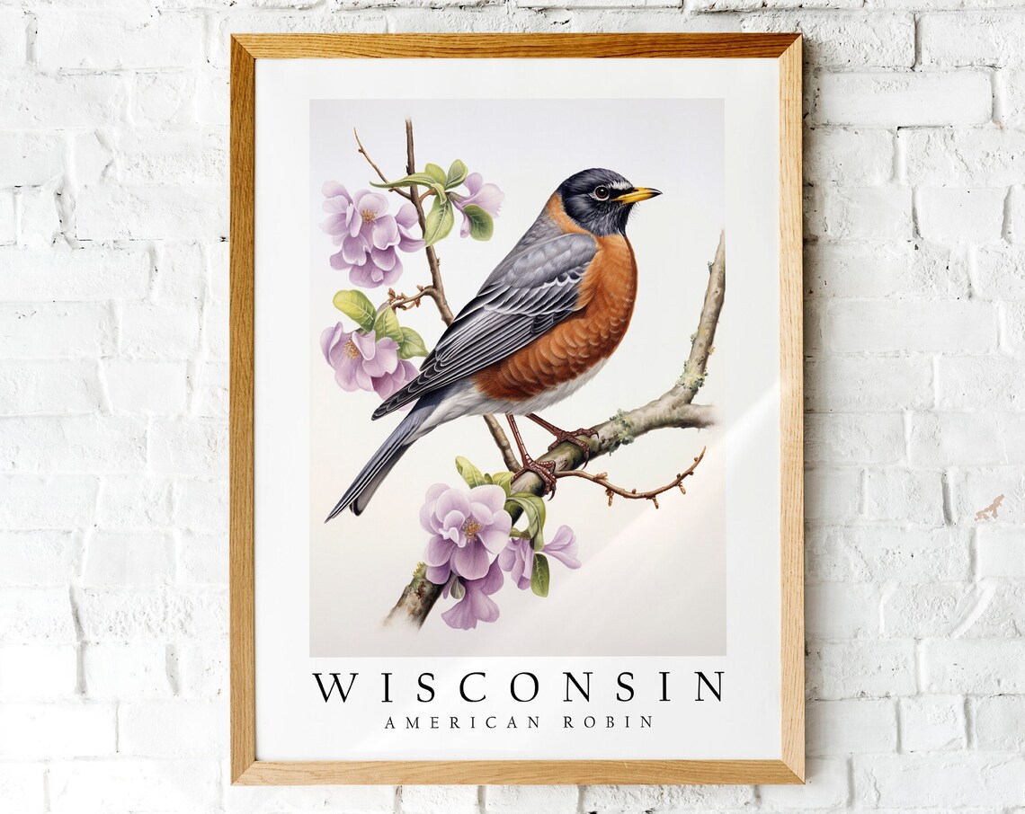 Robin, Wisconsin State Bird Poster Print