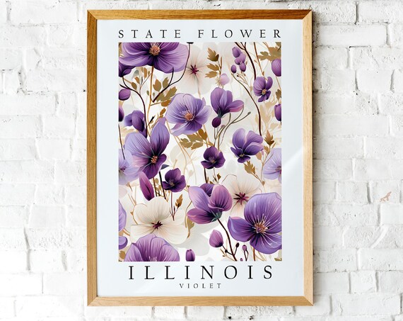 Illinois State Flower Violet Purple Botanical Watercolor Poster