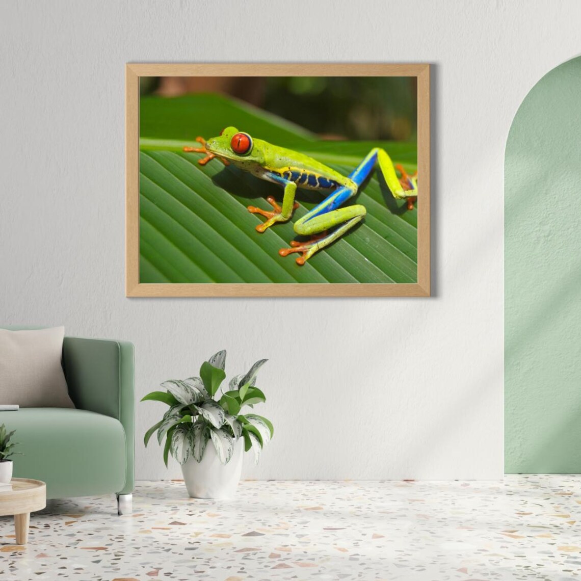 Tree Frog Close Up Photography, Kids Room Decor - Image 4