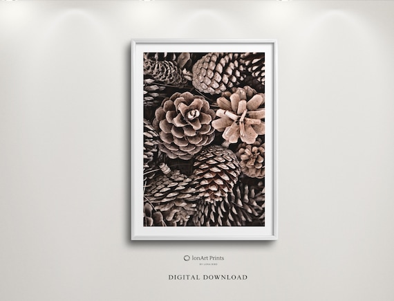 Pine Cone Cluster Close Up Cozy Winter Woodland Forest Photo Poster
