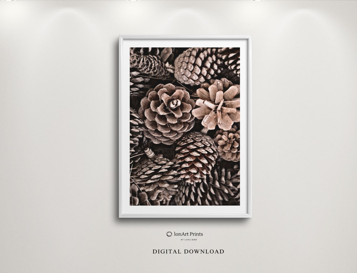 Pine Cone Cluster Close Up Cozy Winter Woodland Forest Photo Poster