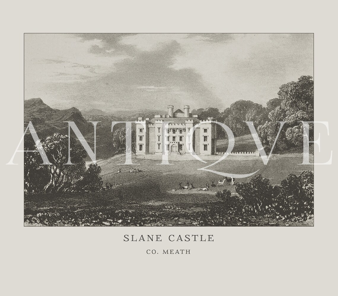 Slane Castle In Boyne Valley, Vintage Irish Engraving Print - Image 3
