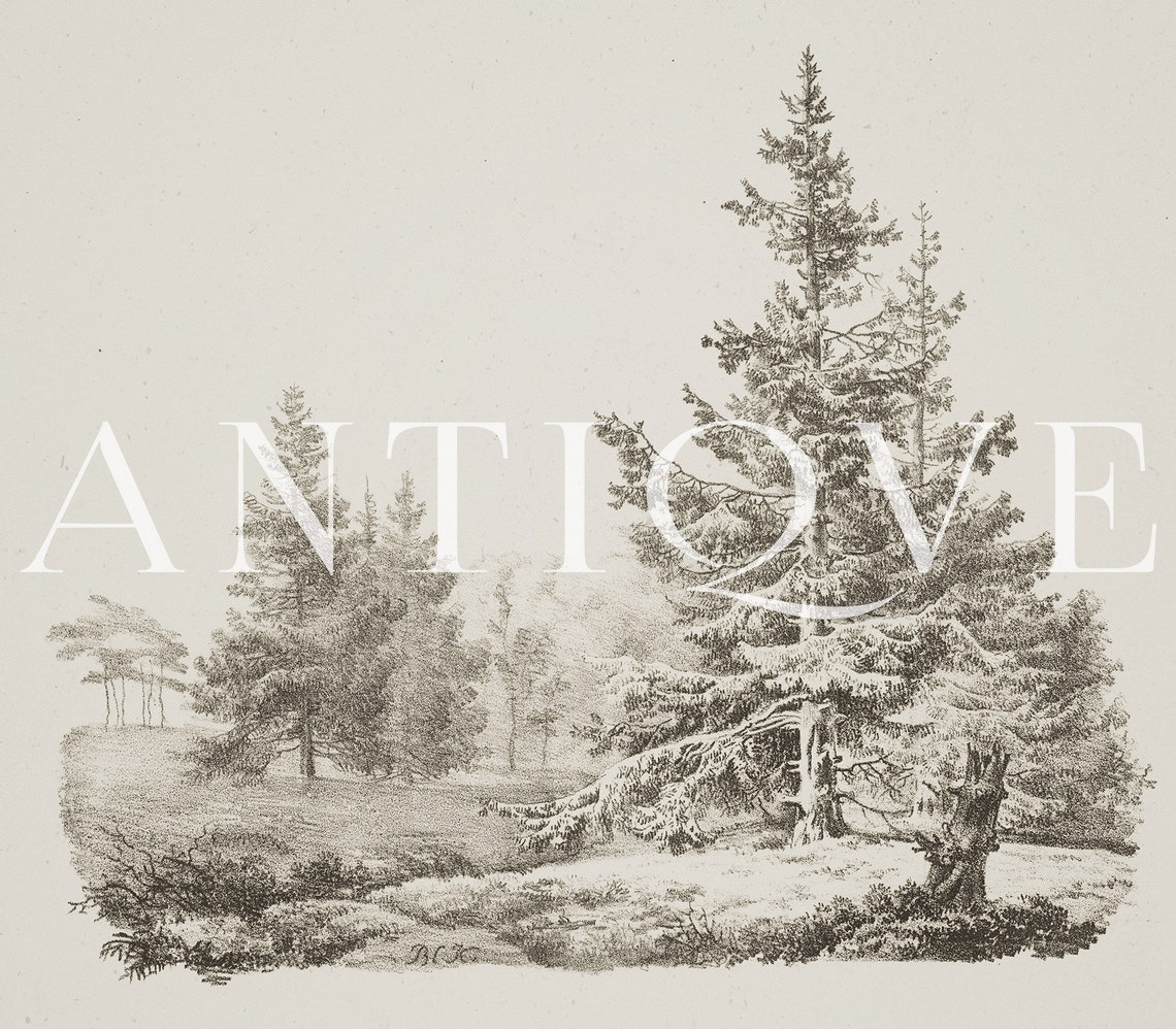 Vintage Forest Sketch Nature Art Print - Image 3