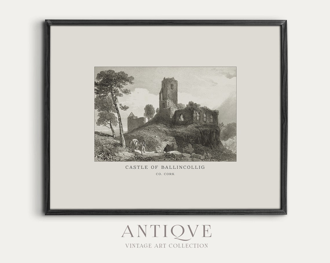 Castle Of Ballincollig Co Cork Ireland Antique Engraving Poster - Image 4