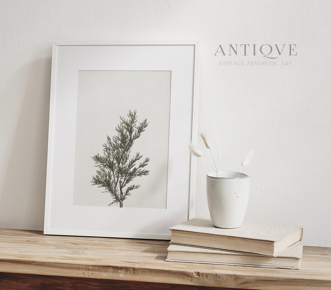 Neutral Juniper Branch Botanical Sketch Minimalist Nature Art Poster - Image 4