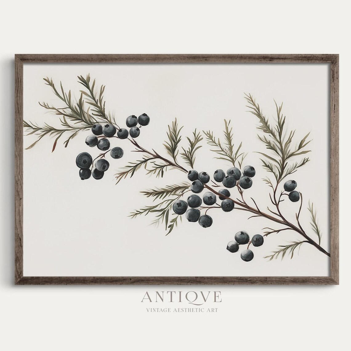 Juniper Berry Branch, Rustic Holiday Art Print