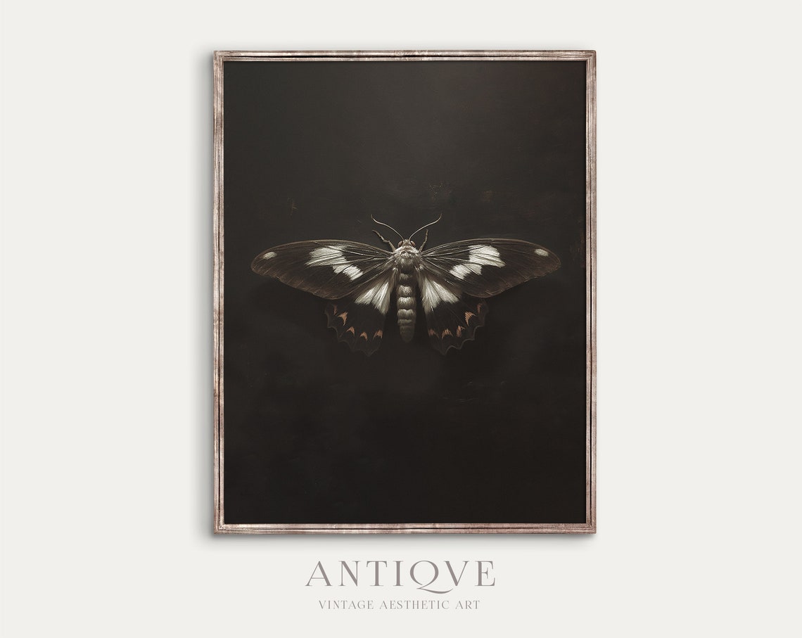 Dramatic Black and White Moth Dark Background Gothic Insect Poster - Image 2