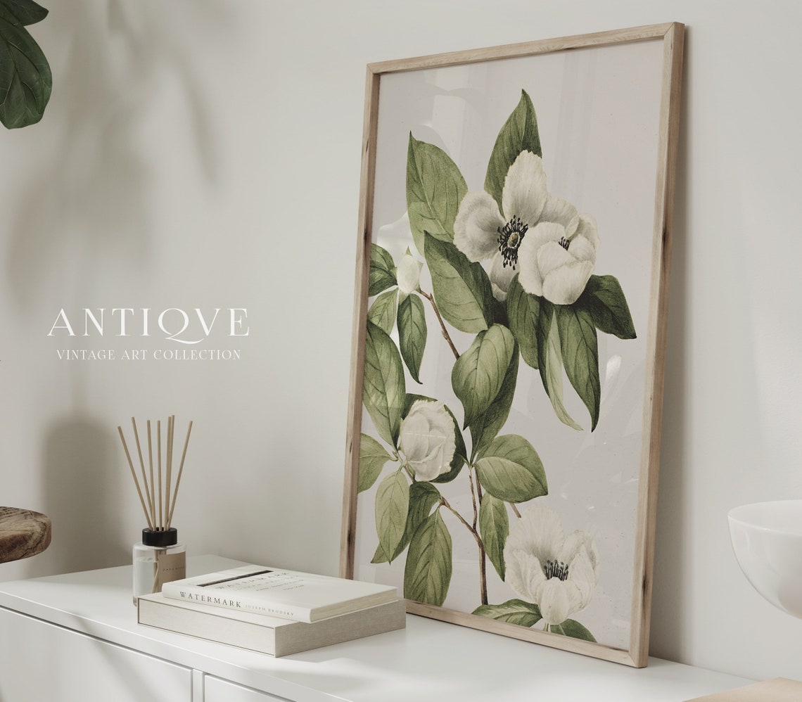 White Camellia Blossoms Vintage Botanical Flower Study Poster - Image 4