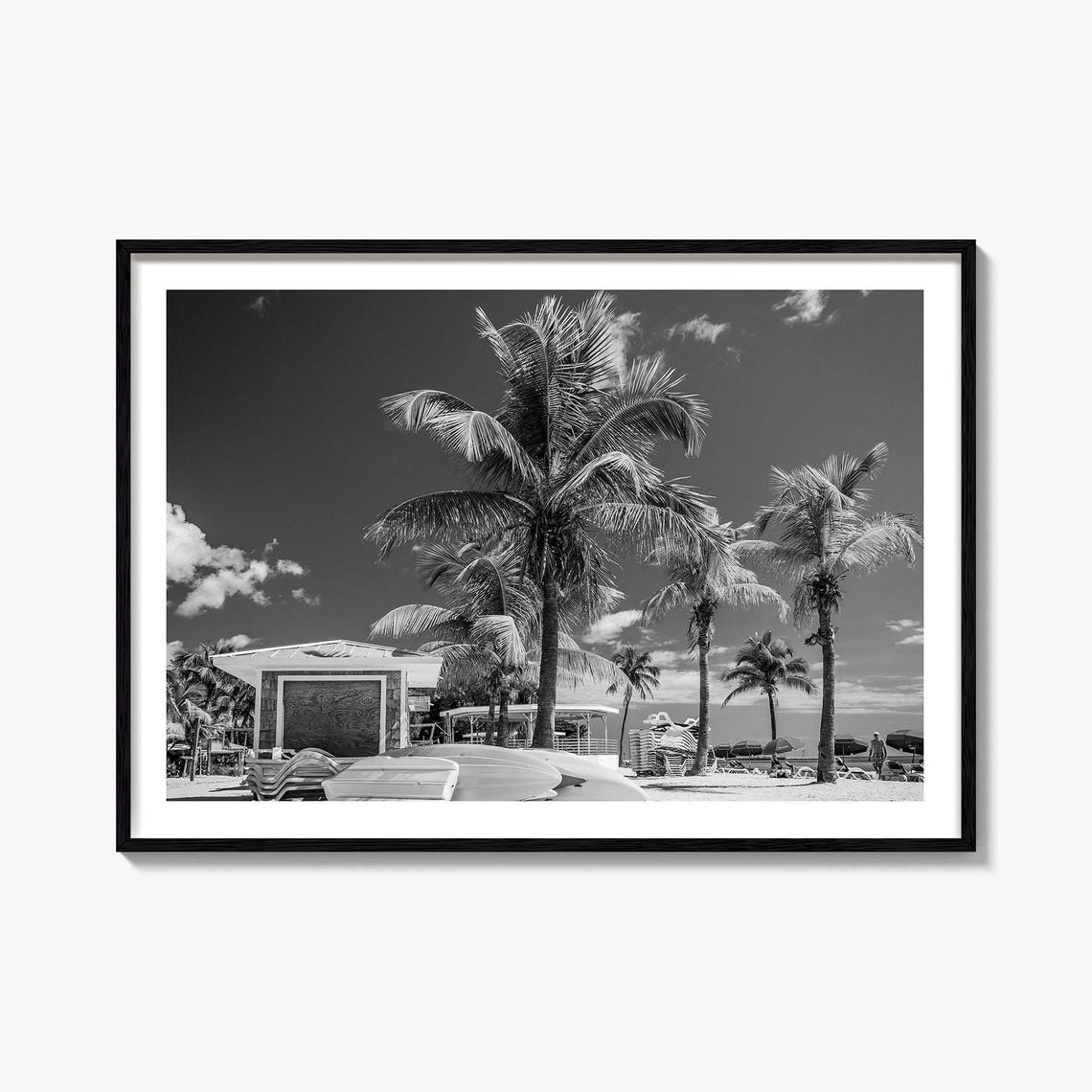 Key West Florida Palm Tree Beach Black And White Photo Poster