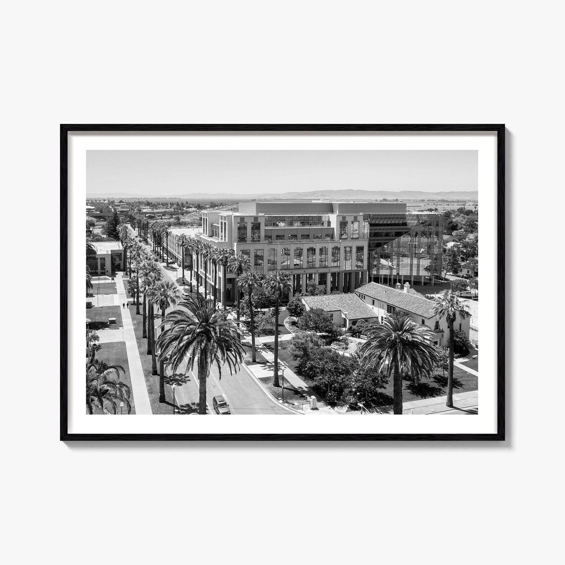 Fairfield California Downtown Palm Street Black White City Poster