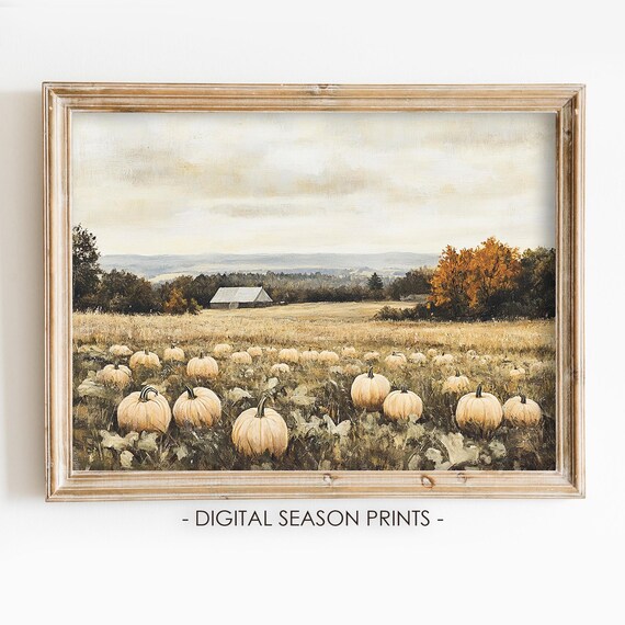 White Pumpkin Patch Field Barn Country Fall Harvest Landscape Poster
