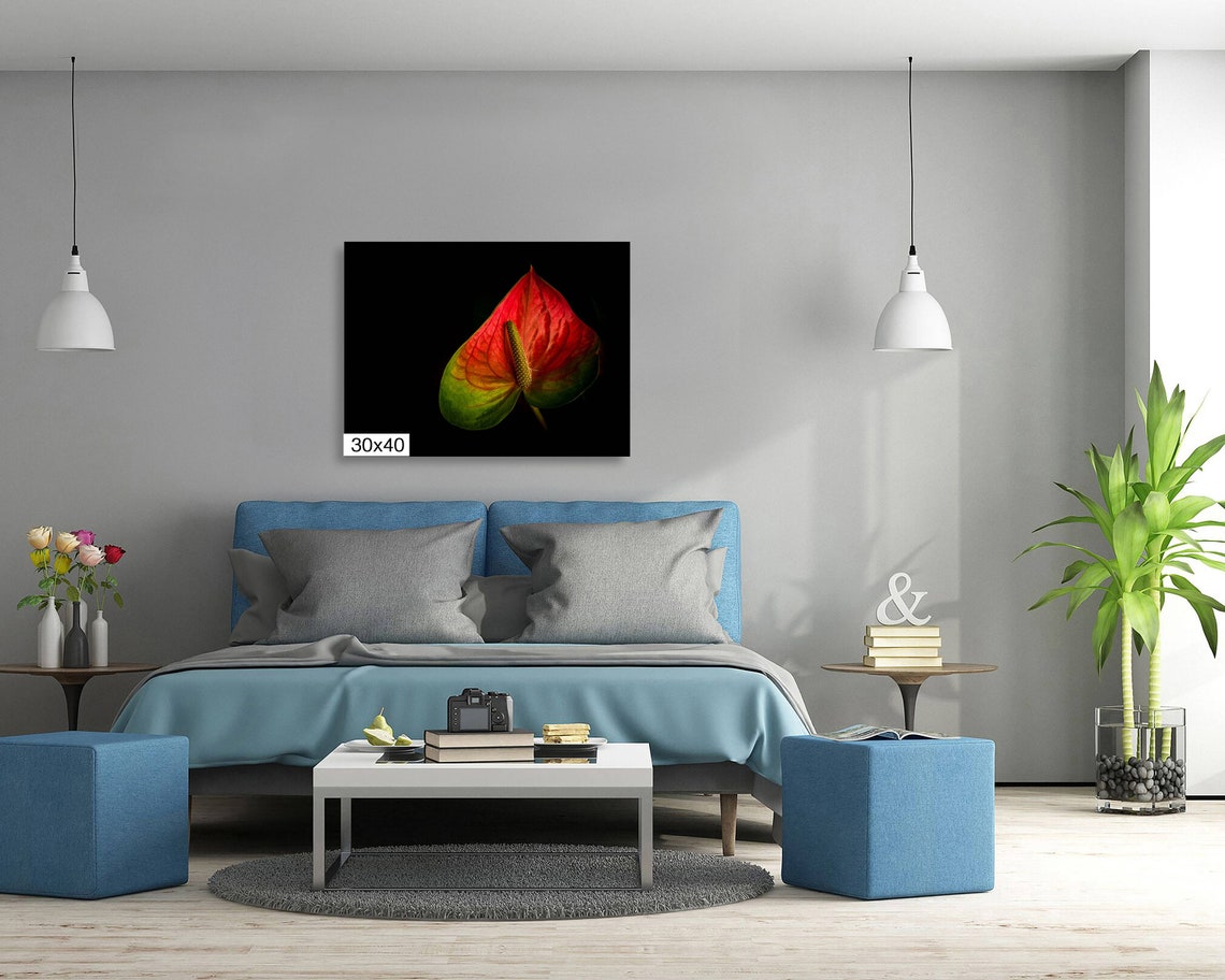 Red Anthurium Flower On Black Dramatic Tropical Botanical Art Poster - Image 5