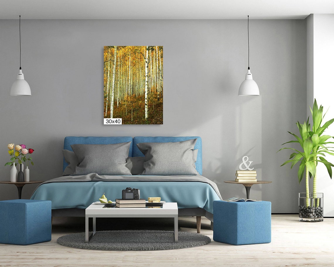 Towering Aspen Trunks Under Golden Canopy Close Up Fall Poster - Image 5
