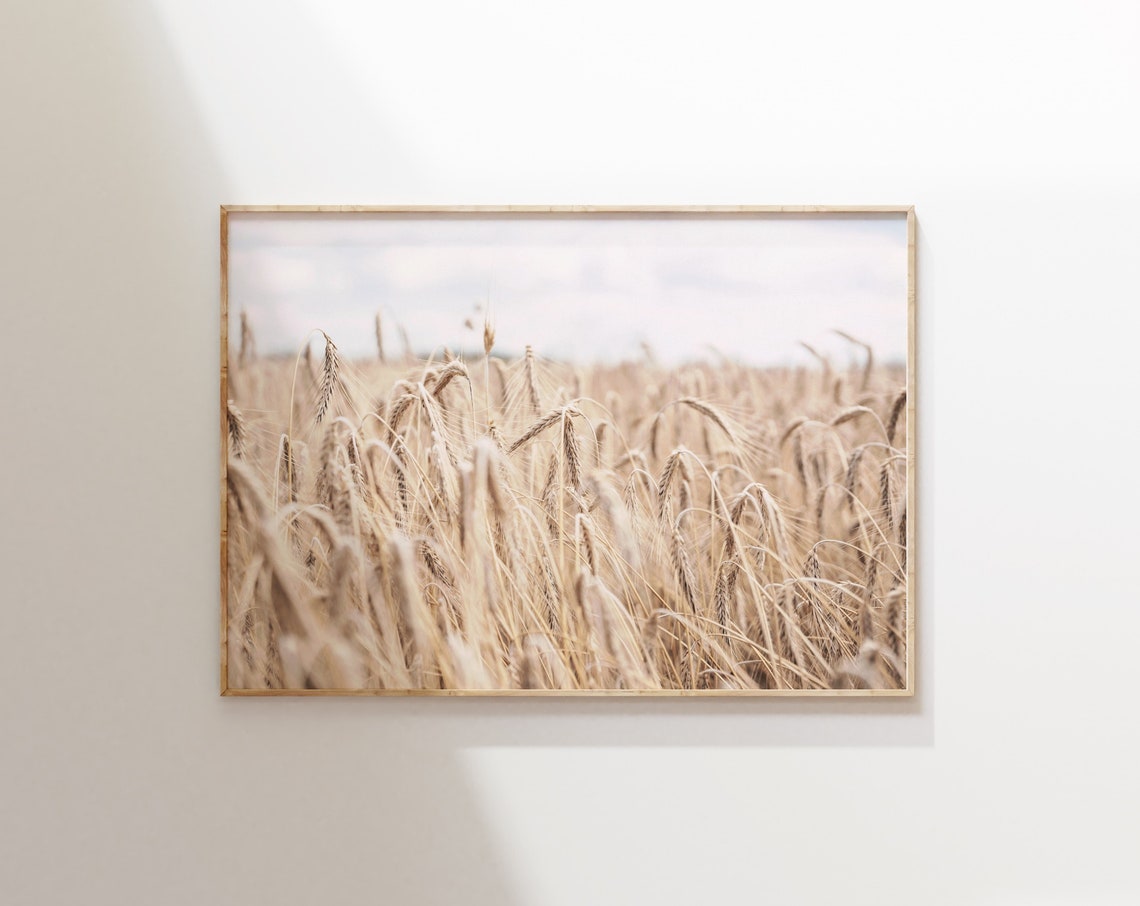 Golden Wheat Field Sunset Glow Boho Neutral Landscape Poster Art