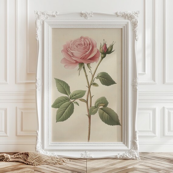 Single Pink Rose Botanical Illustration Elegant Floral Art Print