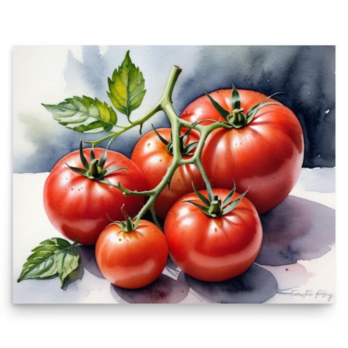 Ripe Red Tomatoes On The Vine Watercolor Kitchen Still Life Poster