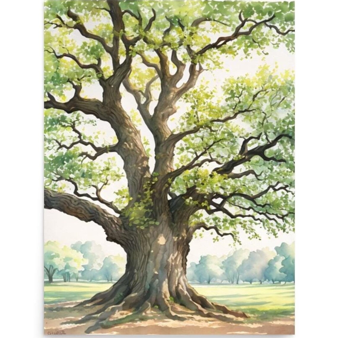 Oak Tree Watercolor Art Print, Louisiana Oak Park