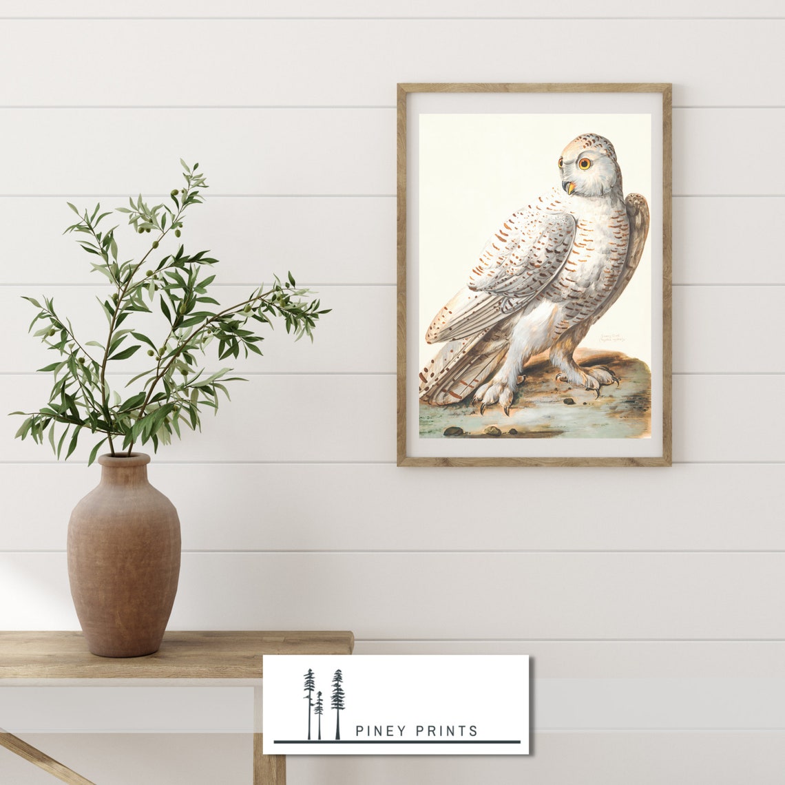 Snowy Owl Vintage Wildlife Illustration White Owl Bird Poster - Image 3