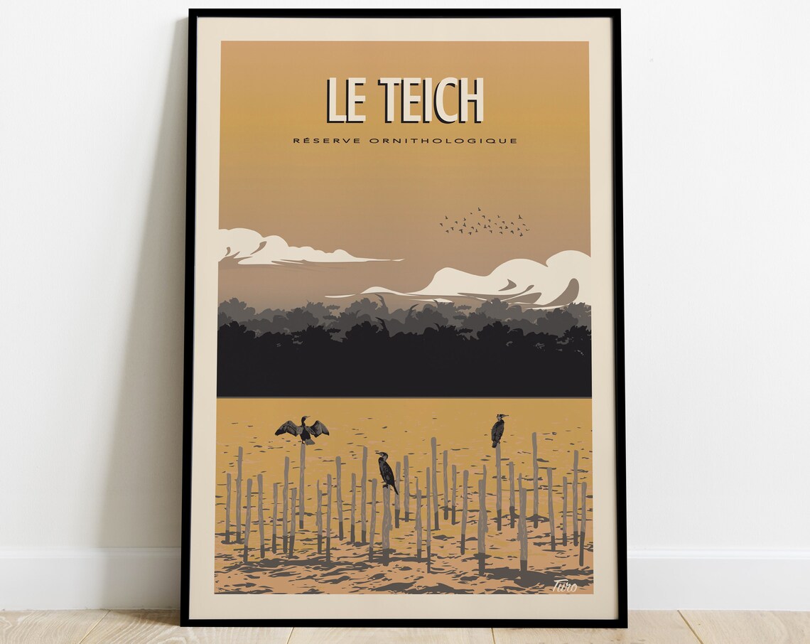 Le Teich Ornithological Reserve Birds France Vintage Travel Poster