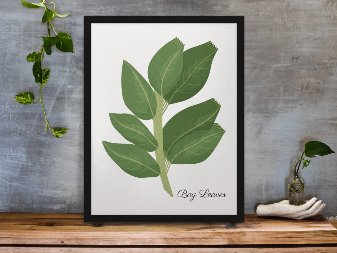 Bay Leaves Botanical Herb Kitchen Illustration Modern Green Poster - Image 5