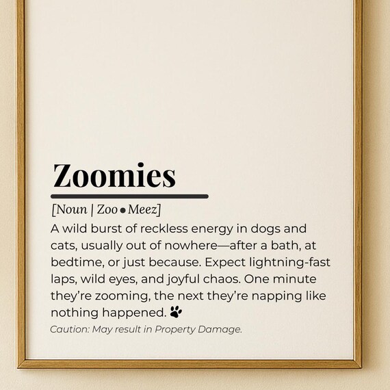 Zoomies Definition Print Funny Dog Humor Minimalist Home Decor