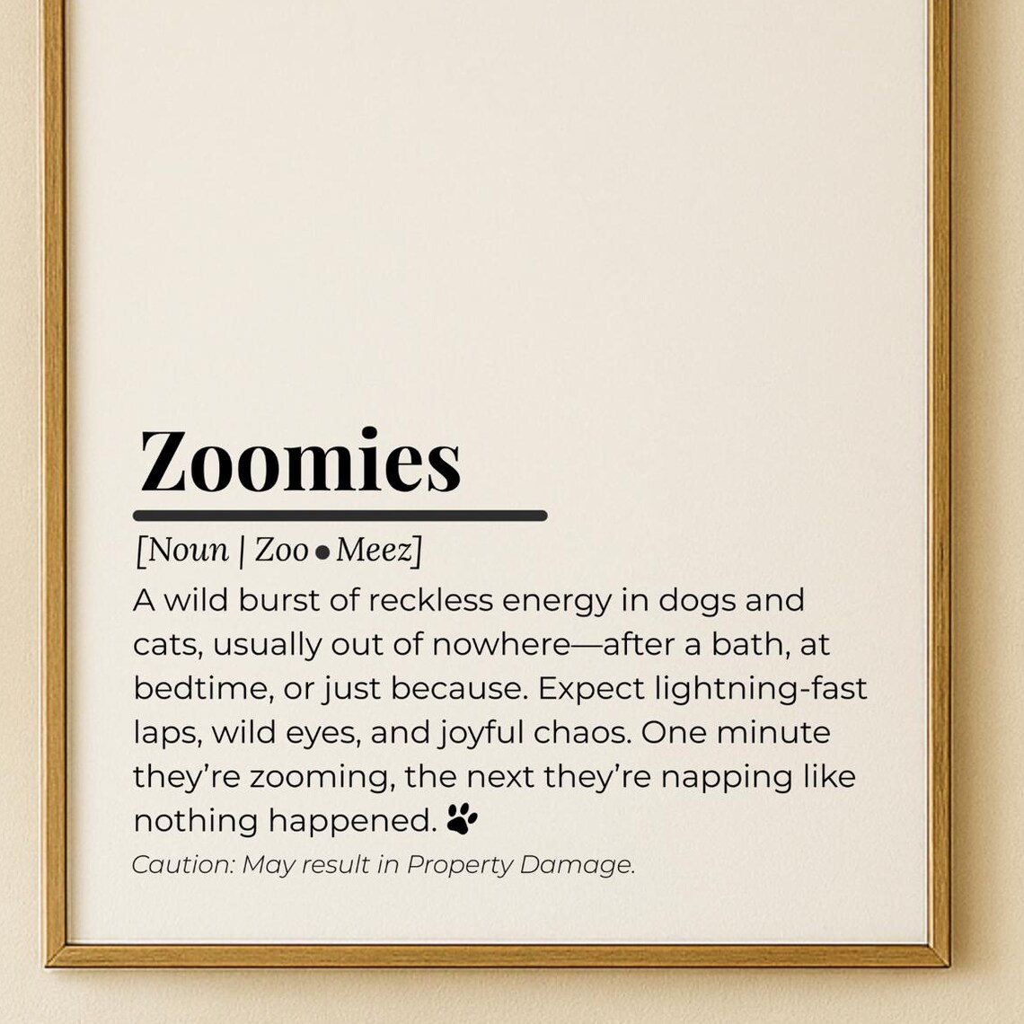Zoomies Definition Print Funny Dog Humor Minimalist Home Decor