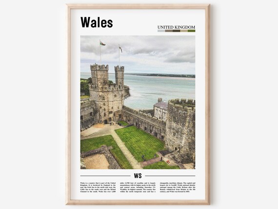 Wales United Kingdom Medieval Castle Coast Minimalist Travel Poster