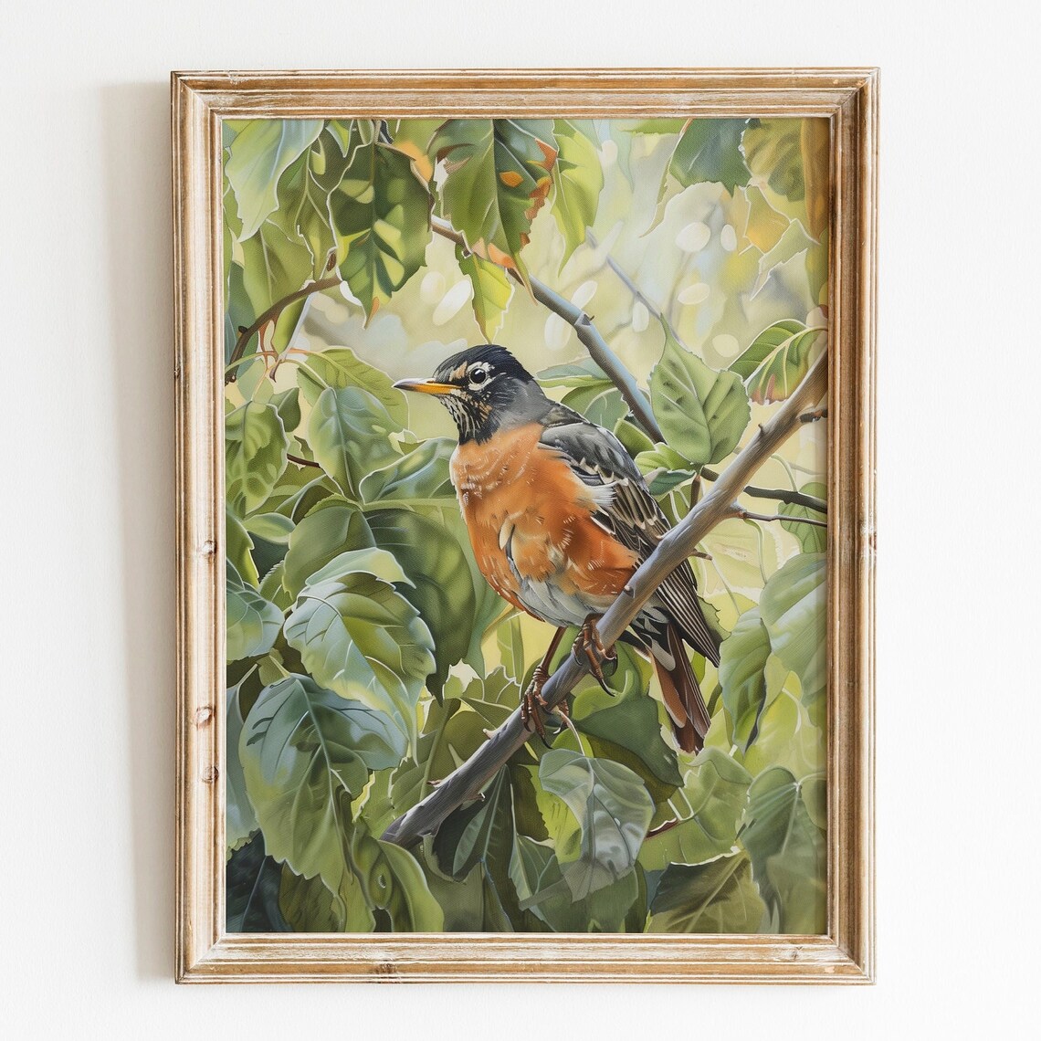 Robin Bird Art Print, Rustic Farmhouse Nature