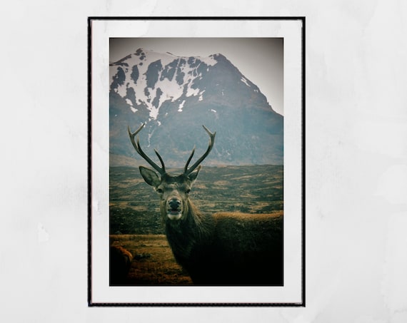 Glencoe Scotland Stag Travel Poster