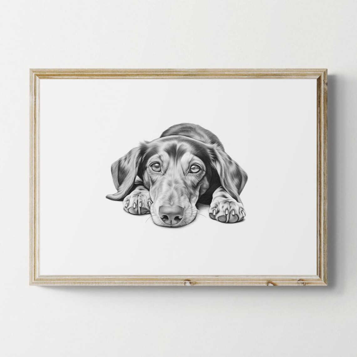 Dachshund Long Body Dog Head Down Sketch Vintage Style Dog Poster