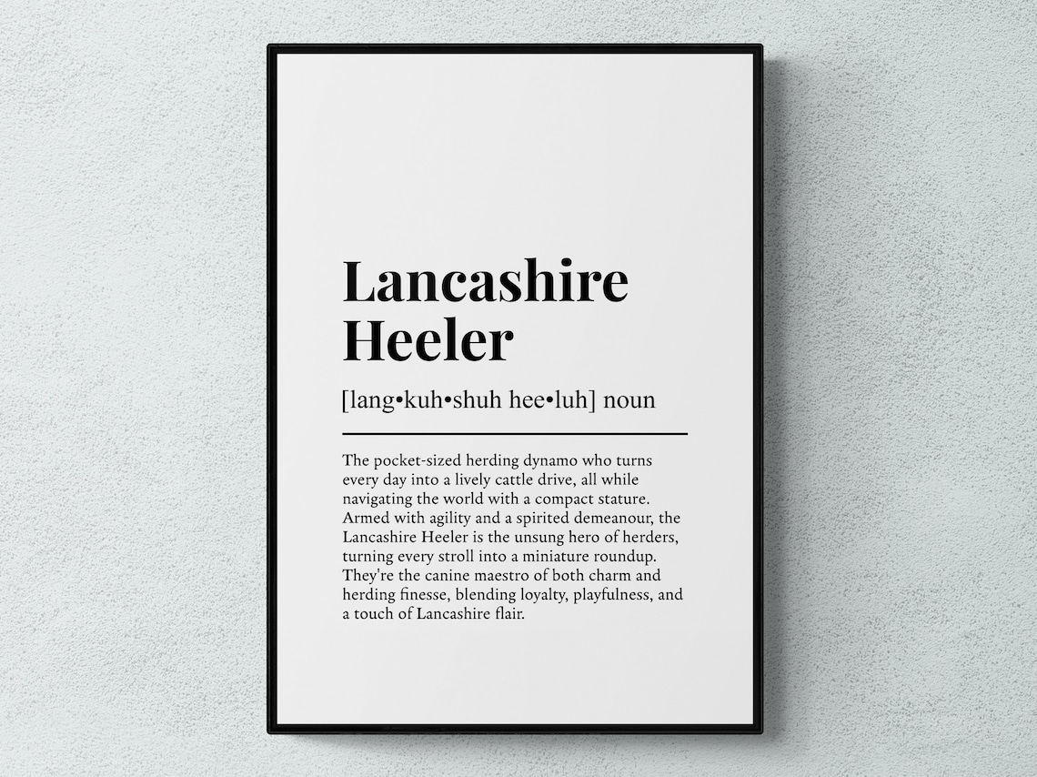 Lancashire Heeler Funny Definition Art Print