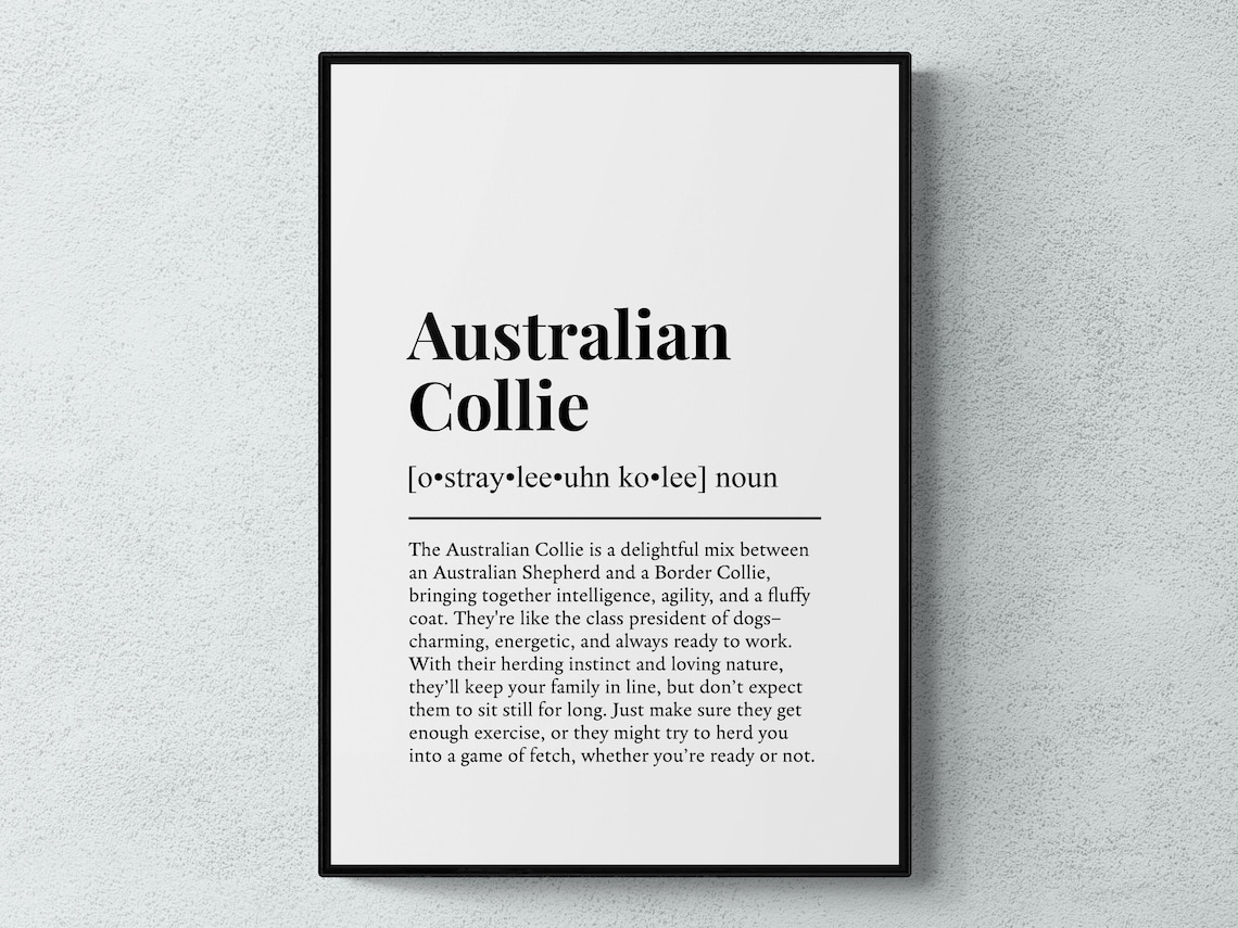 Australian Collie Class President of Dogs Funny Dictionary Poster