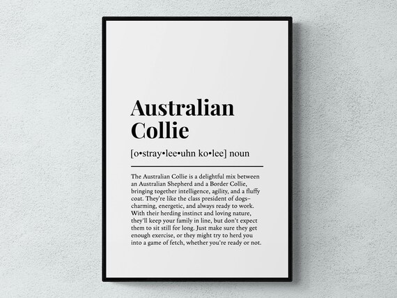 Australian Collie Funny Definition Dog Wall Art Print