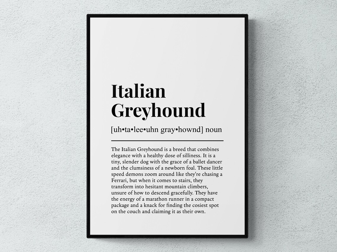 Italian Greyhound Funny Definition Art Print