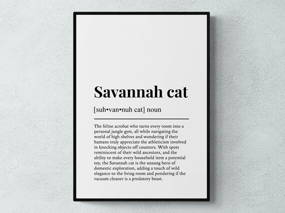 Savannah Cat Funny Definition Feline Breed Dictionary Wall Art Print Poster