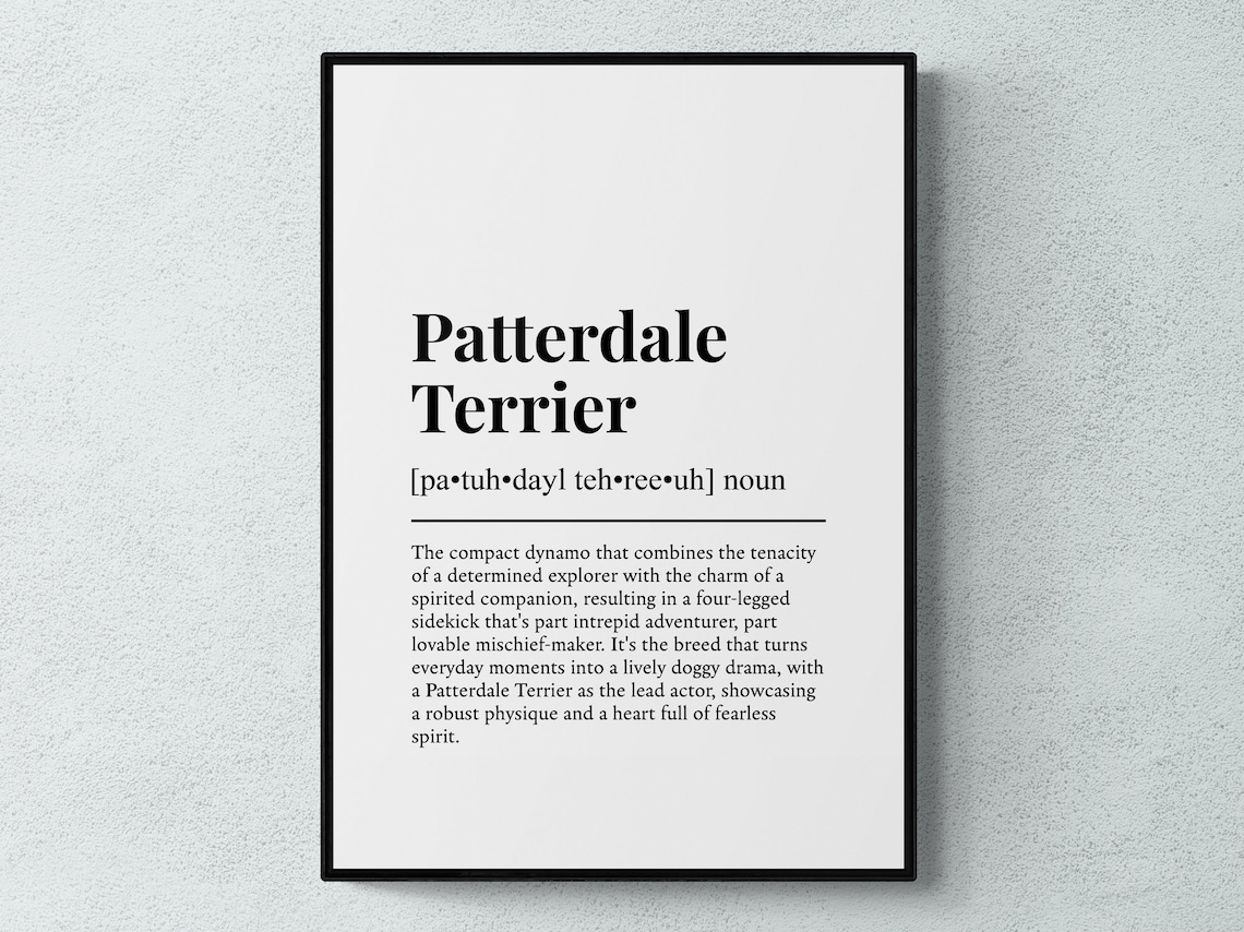 Patterdale Terrier Dog Funny Dictionary Definition Humor Poster
