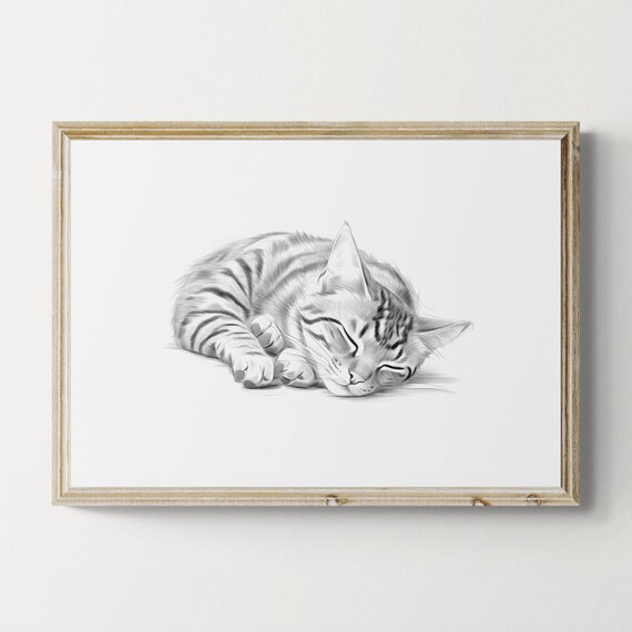 Sleeping Bengal Cat Pencil Sketch Minimalist Tabby Cat Rest Decor Poster