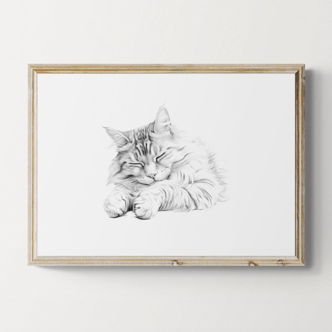 Sleeping Maine Coon Cat Pencil Sketch Minimalist Fluffy Cat Decor Poster
