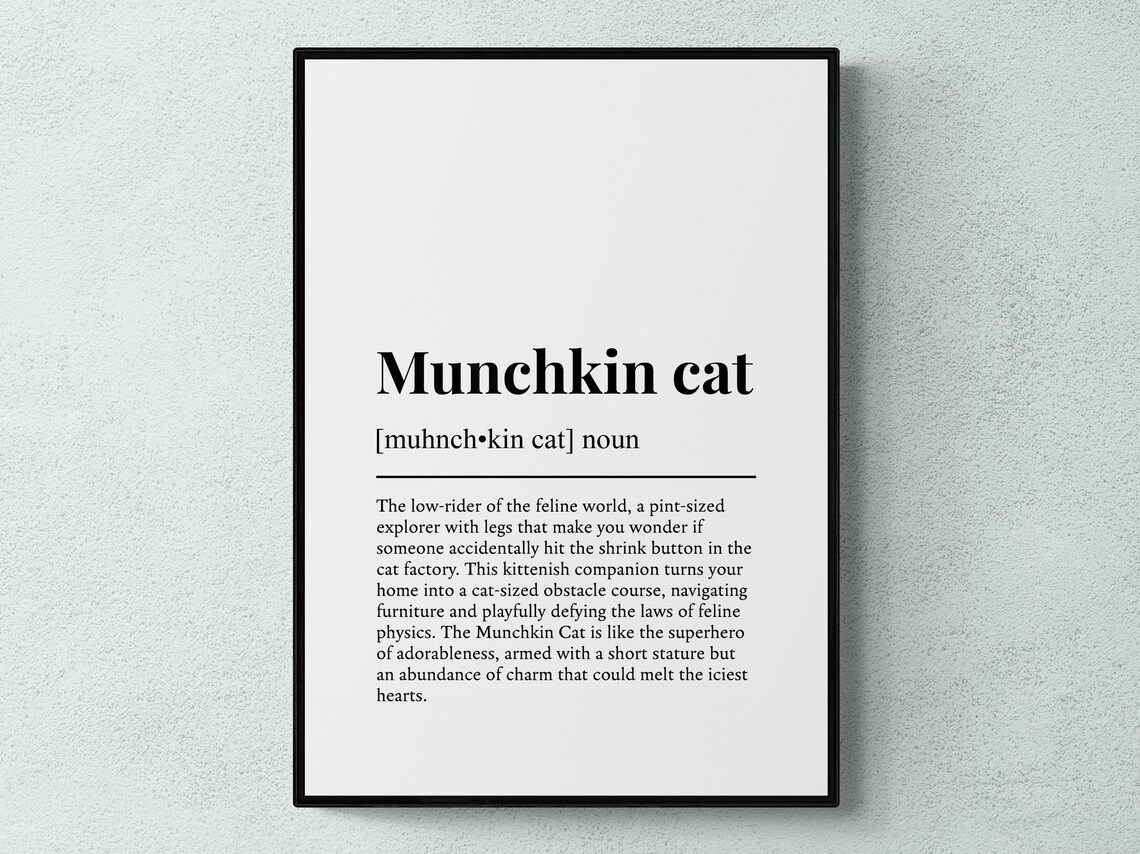 Munchkin Cat Funny Definition Dictionary Style Minimalist Wall Art Poster
