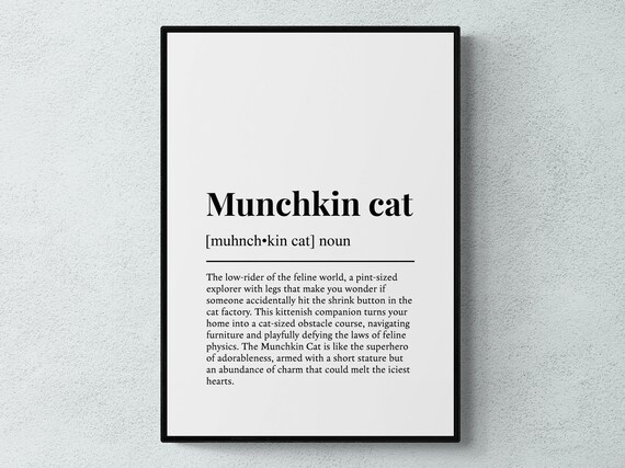 Munchkin Cat Funny Definition Dictionary Style Minimalist Wall Art Poster