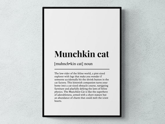 Munchkin Cat Funny Definition Wall Art Print