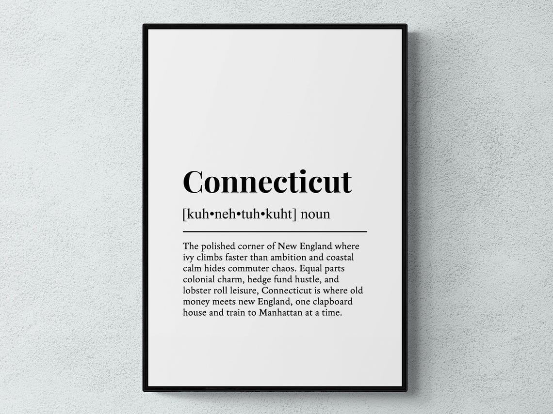 Connecticut State Funny Definition New England Colonial Charm Poster