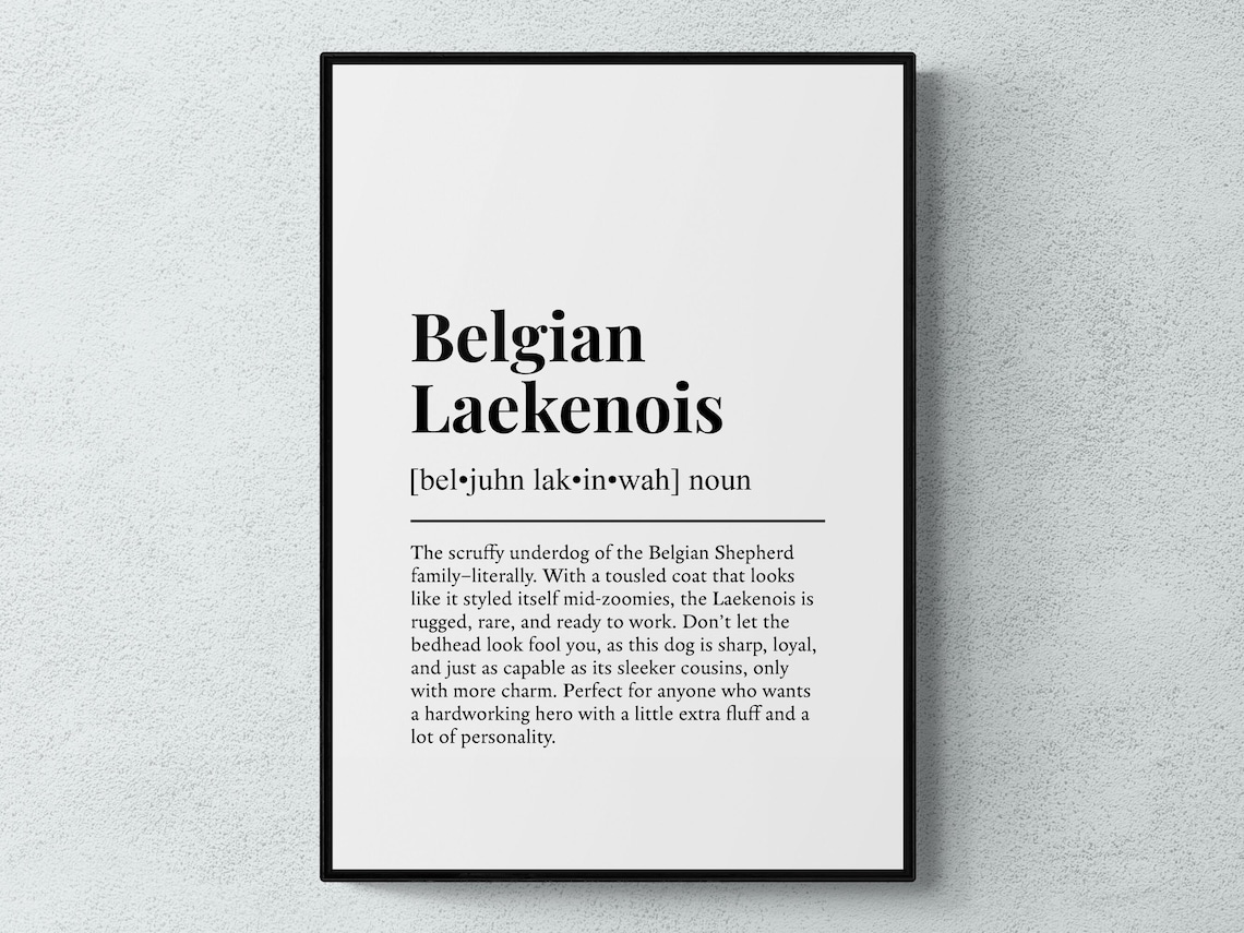 Belgian Laekenois Scruffy Underdog Dictionary Definition Poster
