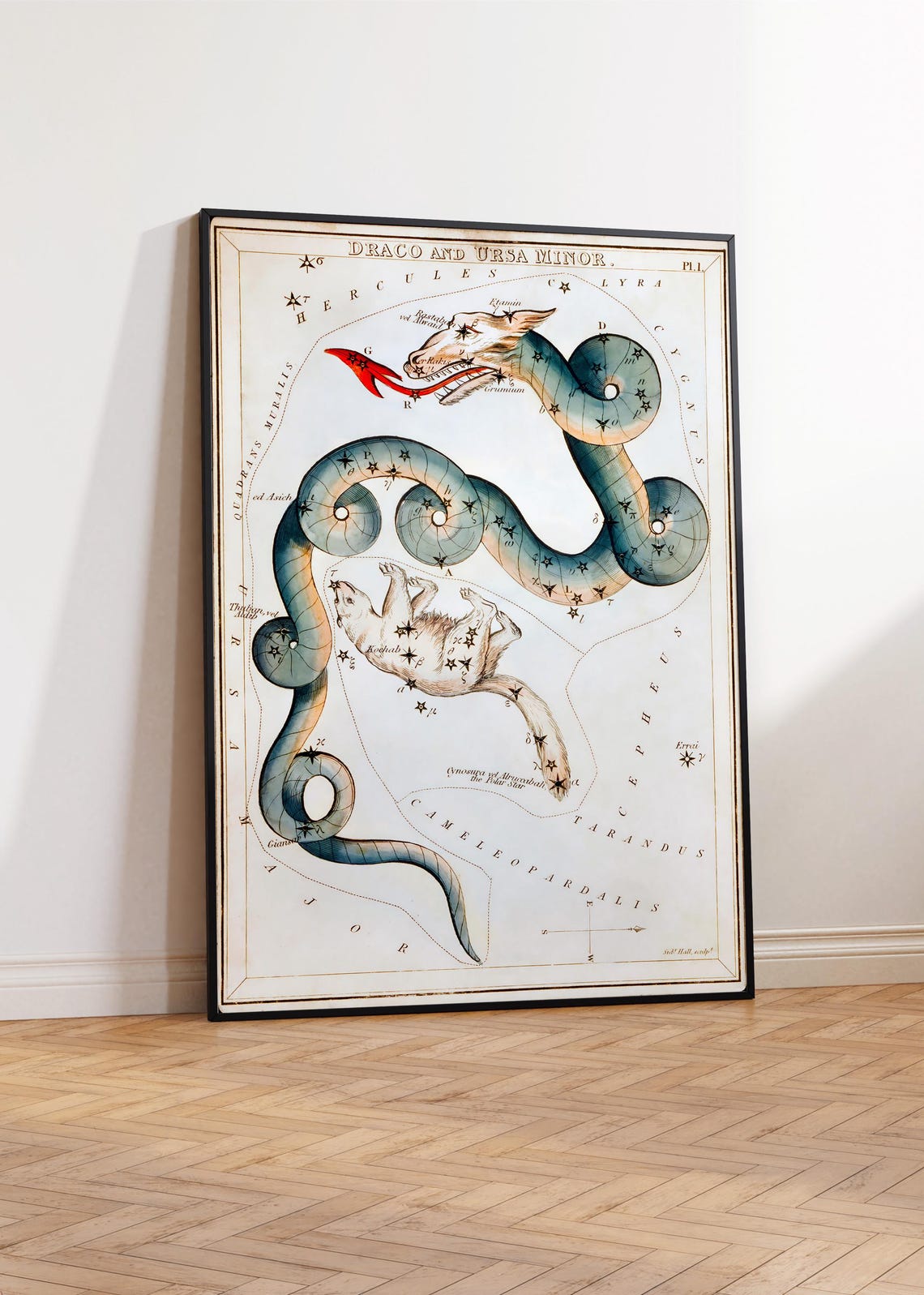 Draco And Ursa Minor Star Map Poster Celestial Print Constellation Artwork Housewarming Gift Original Modern Wall Astrological Art - Image 3