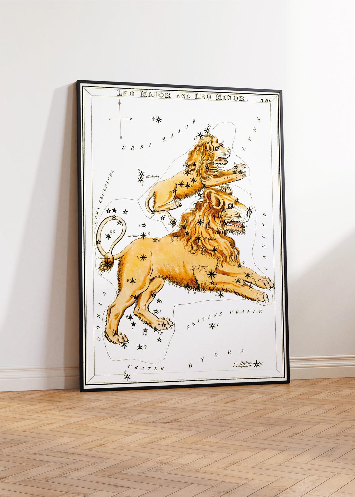 Leo Major And Leo Minor Antique Constellation Star Chart Zodiac Poster - Image 2