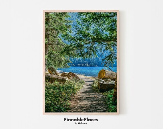 Lush Forest Lake Trail Nature Path Landscape Photography Poster